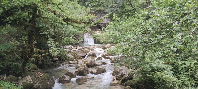Les Gorges du Gorgonnet
