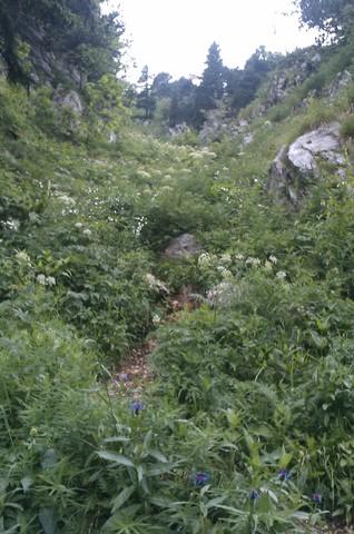 Le Col du Fret
