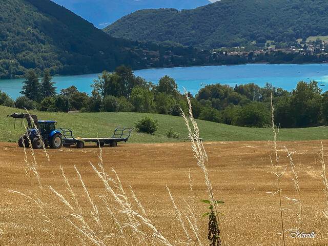 Boucle des villages du lac de Paladru