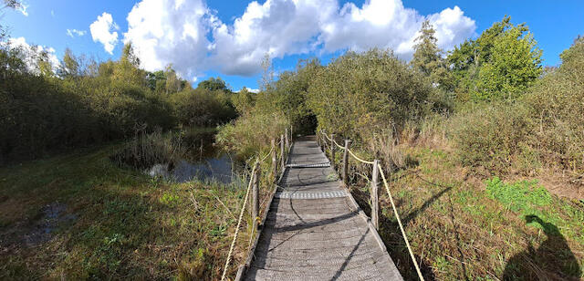 Les tourbières du Grand Lemps