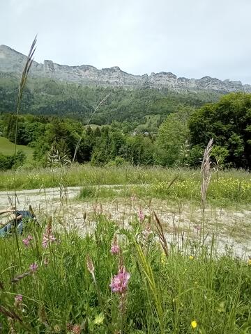 Plateau des petites roches .