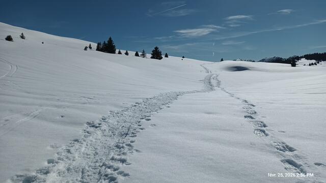 L'Alpe sous le Pinet