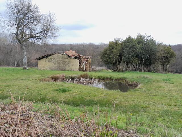 Roybon lac et plateau