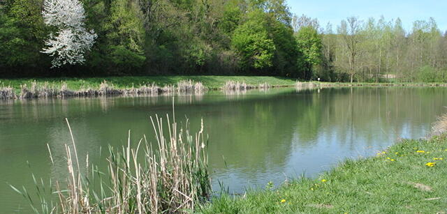 La vallée de la Fure