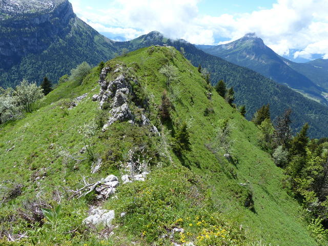 La Scia