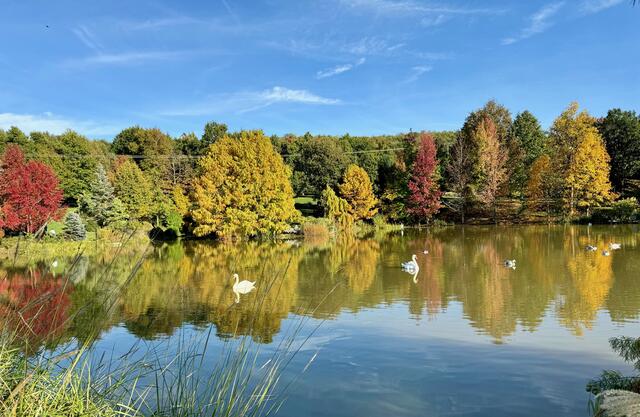 Randodouce à Vernioz et au jardin Bois-Marquis