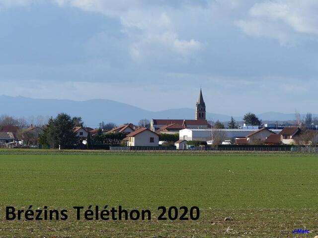 Marche du Téléthon. Brézins = Annulée