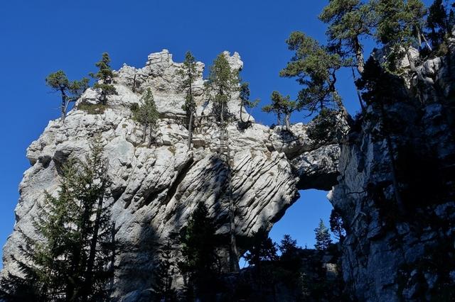 L'Arche à l'Aiguille