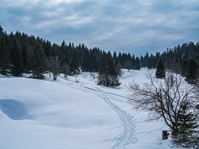 Le Belvédère d'Arpison