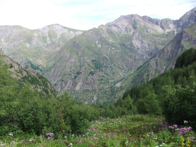 Combe Oursière