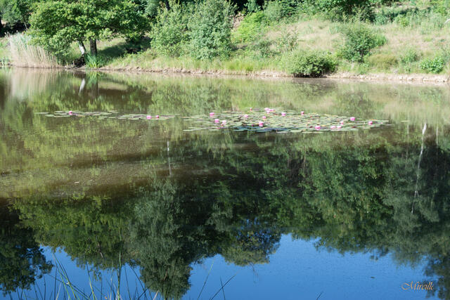 Nantoin et ses Etangs