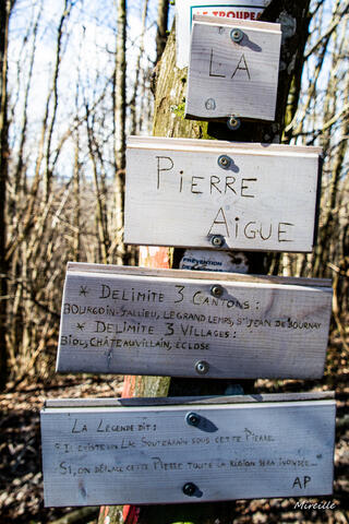 Belmont-Biol. La pierre aigüe.