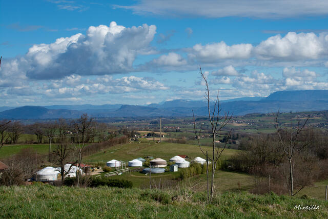 Belmont-Biol. La pierre aigüe.