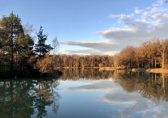 Rando Santé des planchettes aux essarts