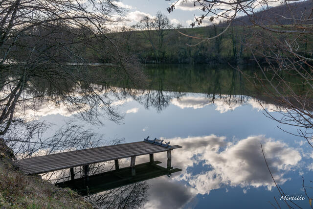 Etang des Béroudières
