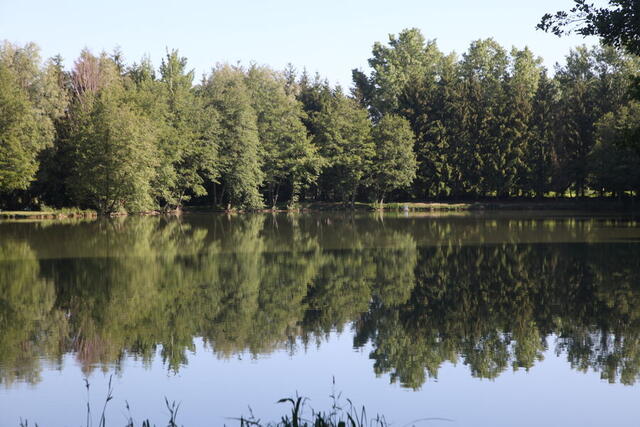 Le sentier de Béatrix