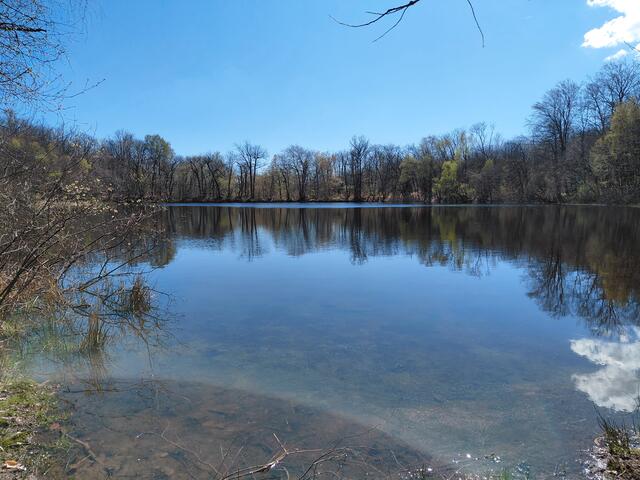 L'étang des Béroudières