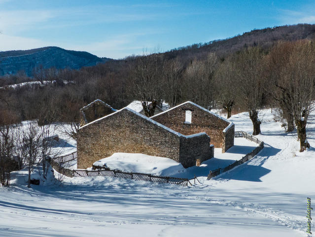 La Goulandière