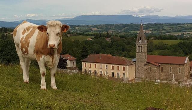 Biol le Haut