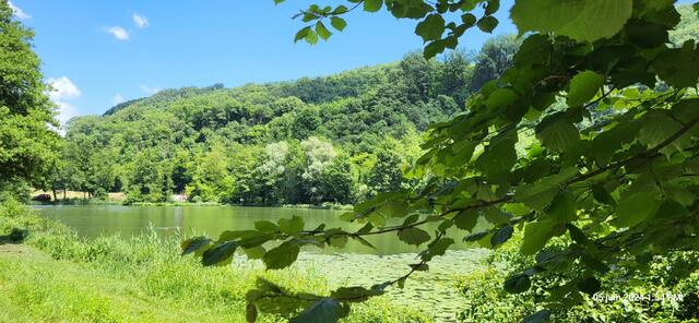 entre Morette et Cras