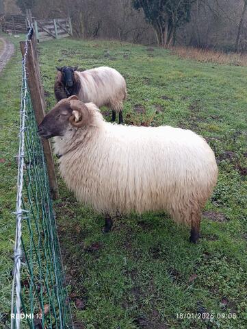 De Manthes à Moras en valloire