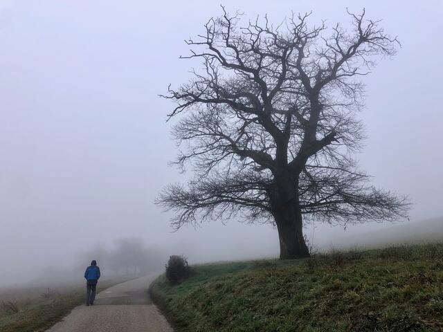 rando douce à Saint Hilaire