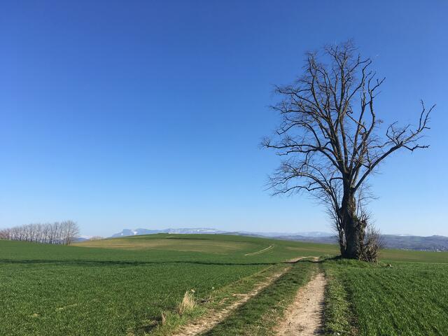 Sortie Brézins-Sænteur