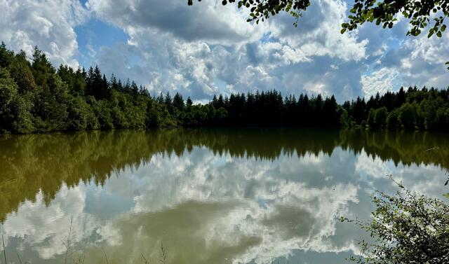 Randodouce entre Brion et Chasselay