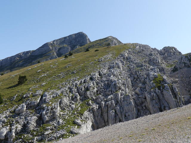 La Petite Moucherolle