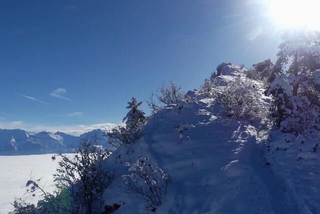 L'Aubeyron et Le Goutaroux (peut-être)