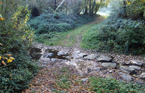Les Feytaux-Terres Blanches