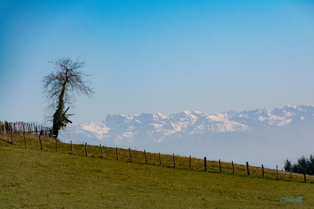 Sur les hauteurs de Longechenal