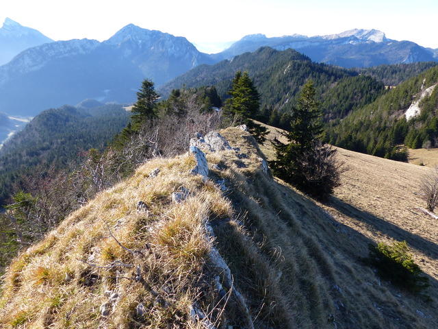 Les crêtes d'Aliénard