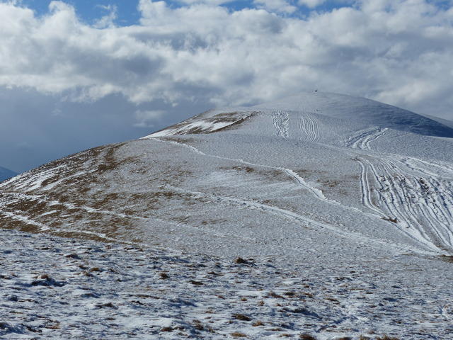 La Peyrouse