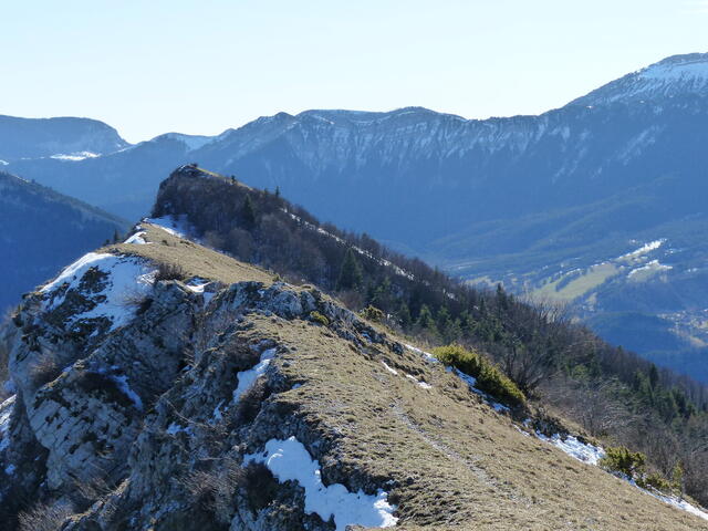 Le Goutaroux