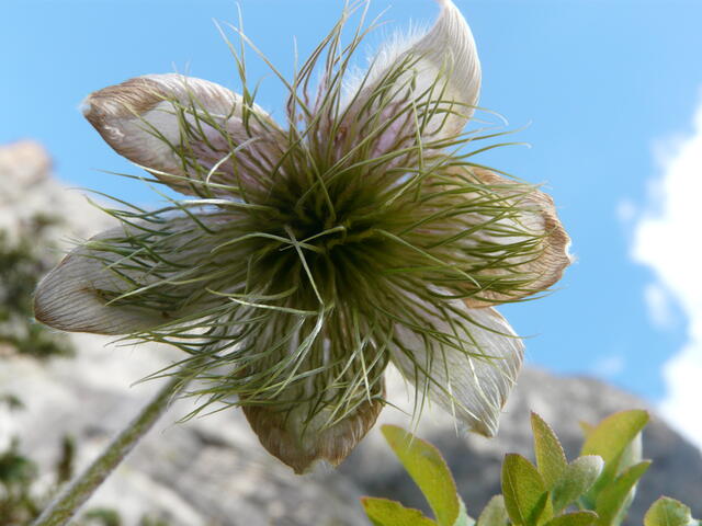 Rando  ?  je réfléchis !!
