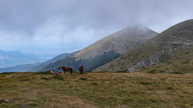 Font d'Urle par les crêtes du Serre de Montué