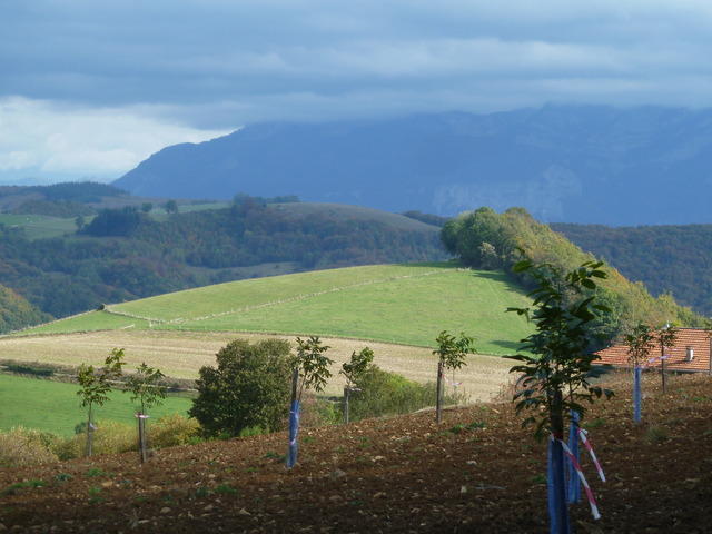 Le Plateau de la Garde