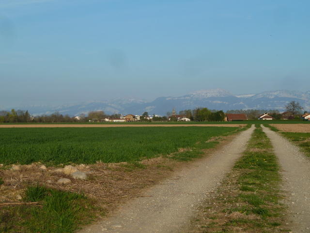 le haut Brezins