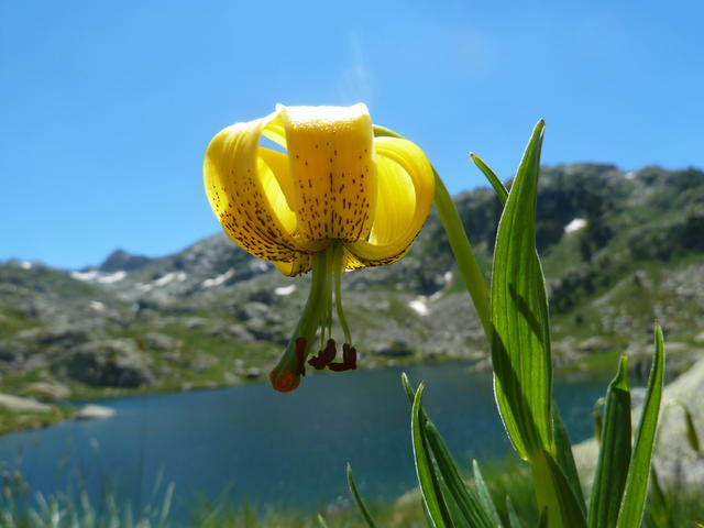 Val d'aran :Lacs et Aiguilles des Encantats