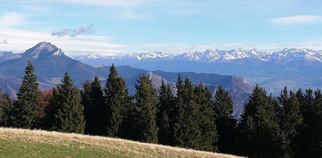 plateau du Sornin