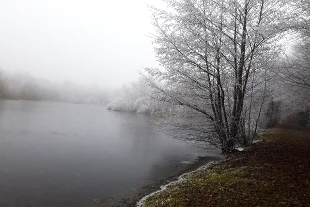 Commelle ses étangs, le ruisseau du moulin