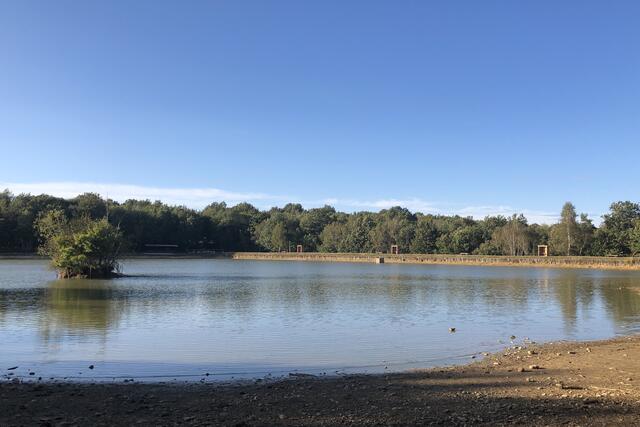 de Marnans à l'Etang des Mermes