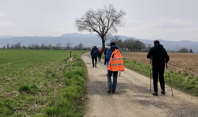 randorelax dans la plaine de Sillans