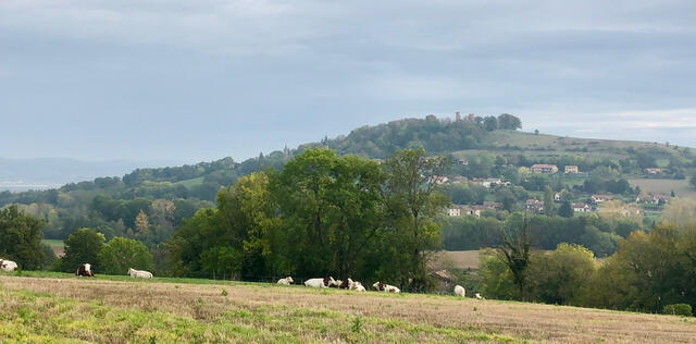 RANDO-SANTÉ autour de Beauregard