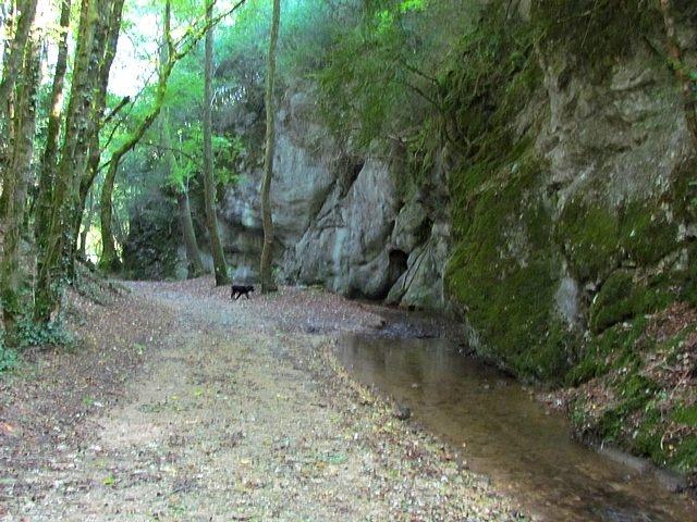 Les étangs de la Troussatière et Roche Corbière