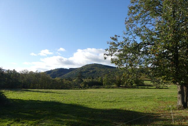 Rando des châtaignes à St Jeure d'Ay