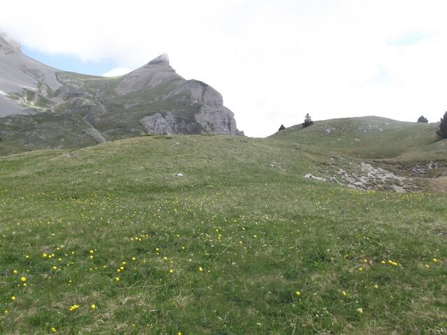La cabanne des Aiguillettes ( Trieves)