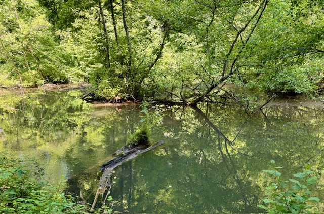 randorelax à Rives