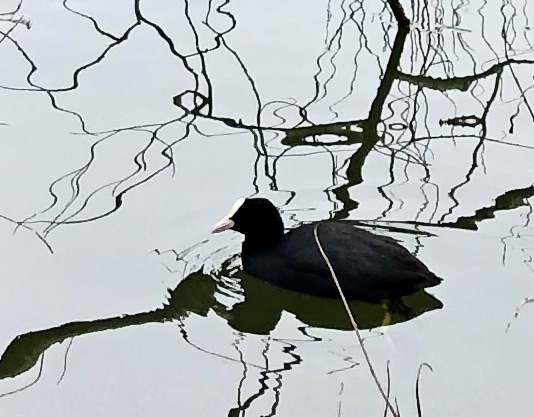 Rando relax  à Saint Etienne